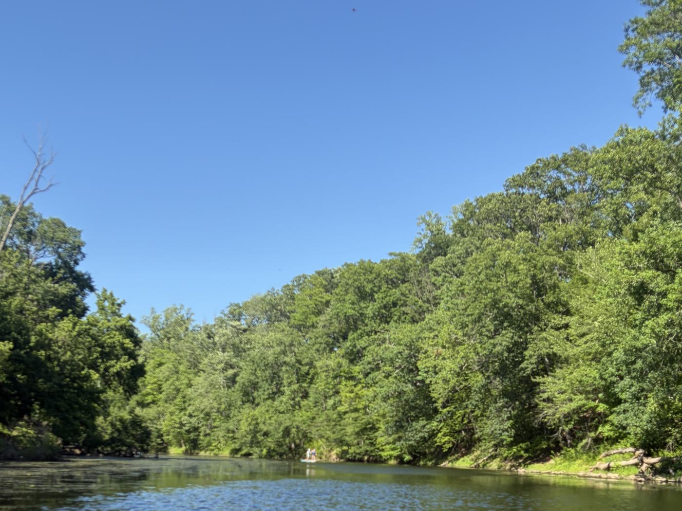 Neshaminy Creek winding between tall green trees in Tyler State Park